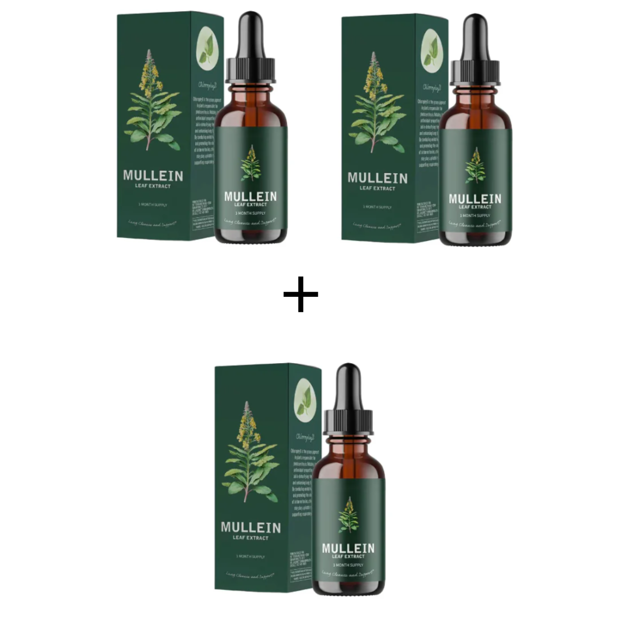 Mullein extract - adem terug vrij