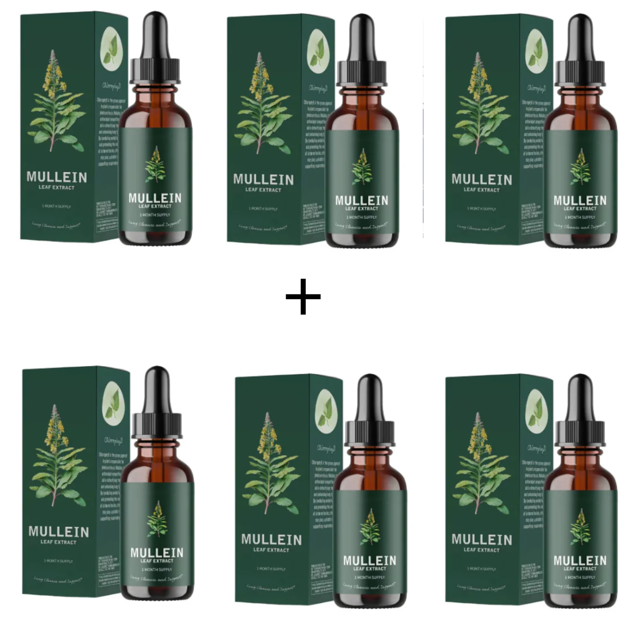 Mullein extract - adem terug vrij